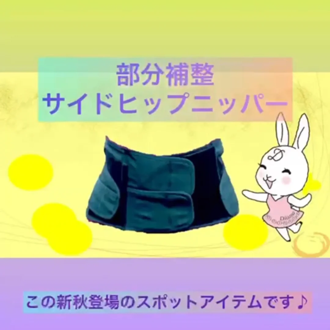 ダイアナ オンラインショップ / サイドヒップニッパー