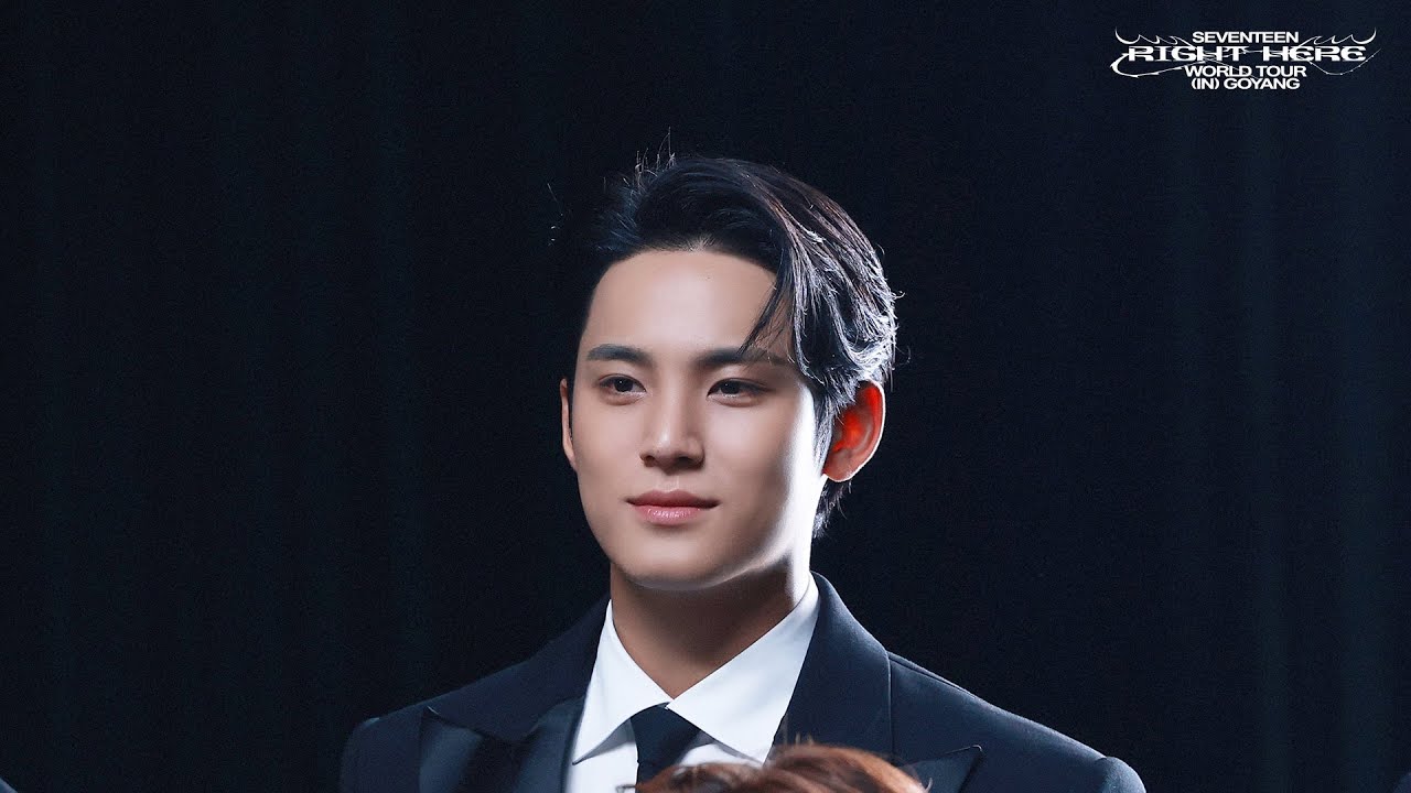 SEVENTEEN WORLD TOUR [RIGHT HERE] (MINGYU FOCUS) - YouTube