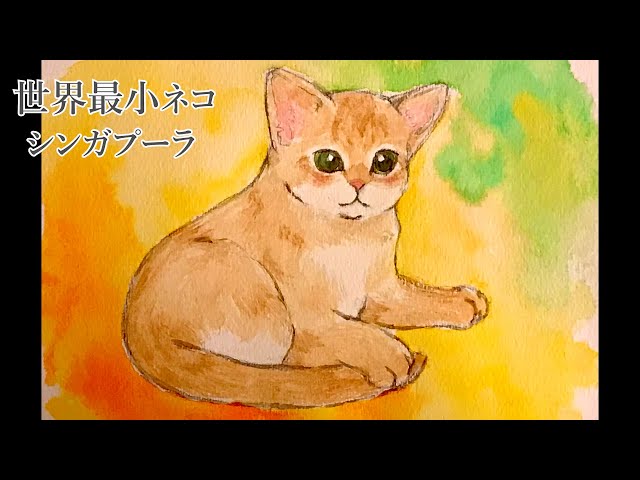水彩画】今日のにゃんこ17【シンガプーラ】 - YouTube