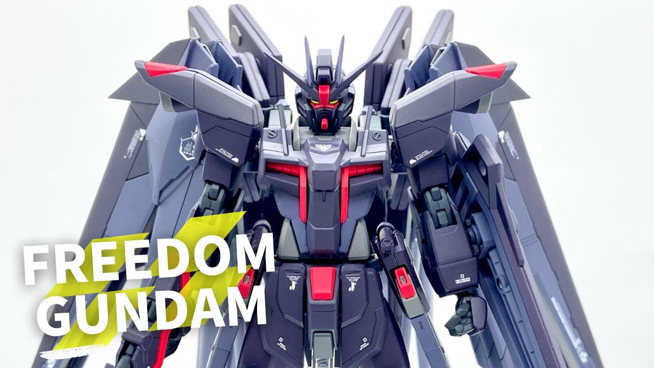 HG HGUC フリーダムガンダム 改修 全塗装 完成品 SEED HGCE