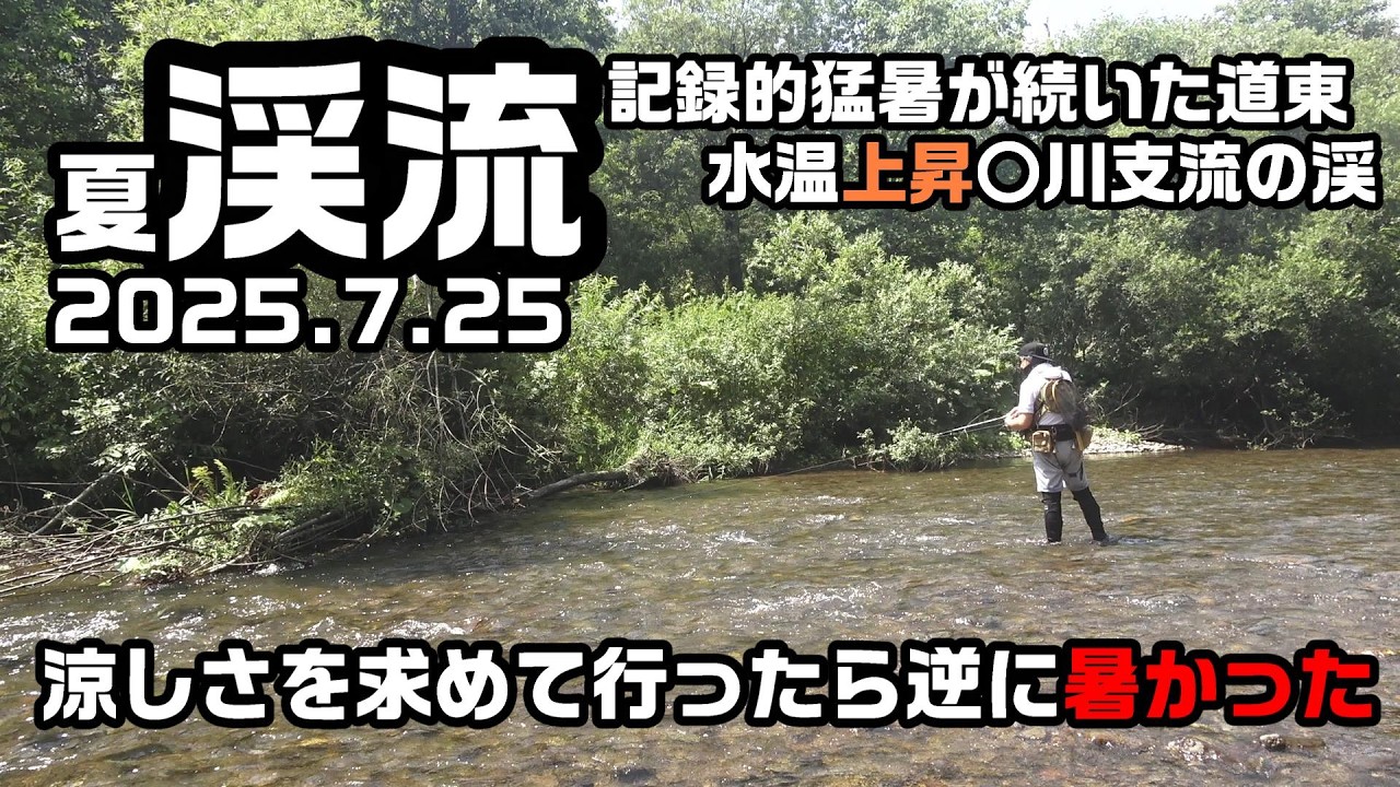 道東夏渓流2025 涼しさを求めて行ったら逆に暑かった【渓流釣り】July