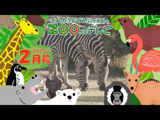 The 44th Tennoji Zoo Zoo TV | Giveaway campaign underway on the