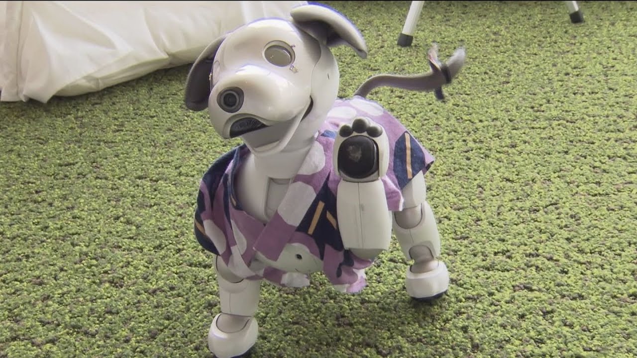 宿泊客を出迎えるのは犬型ロボット「aibo」 全国で唯一の生産工場が