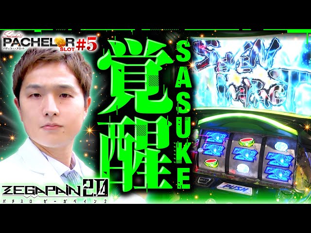 配送料込み・引取可能山佐 ☆I1550 パチスロ ゼーガペイン パチスロ