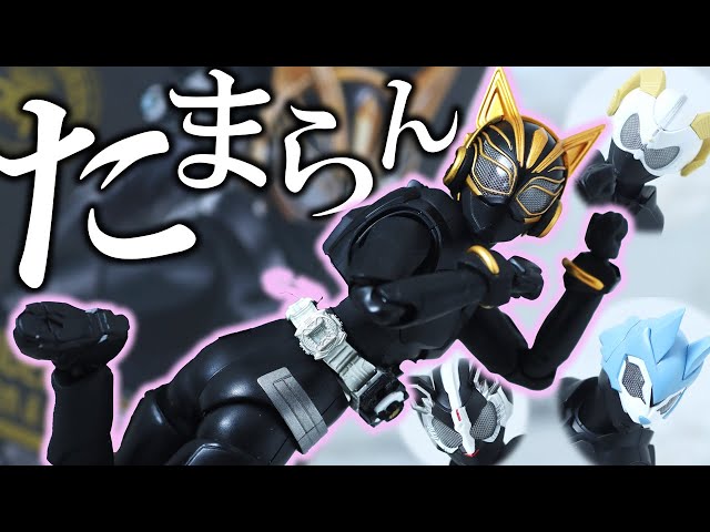 S.H.Figuarts Kamen Rider Nago Entry Raise Form & Entry Raise Set