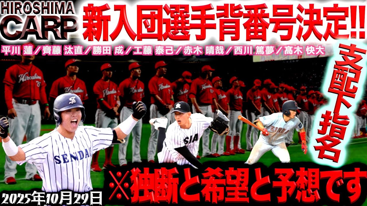カープ0番 おそらく高コーチ カープ0番 おそらく高コーチ 広島東洋