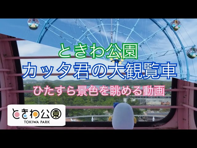 おうちでときわ遊園地｢カッタ君の大観覧車に乗ってみた｣ - YouTube