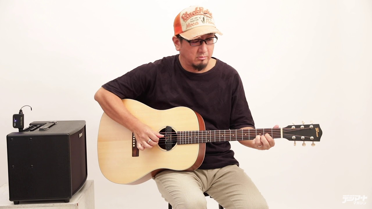 SKYSONIC / WL-800JP Wireless Soundhole Pickup [Digimart Product