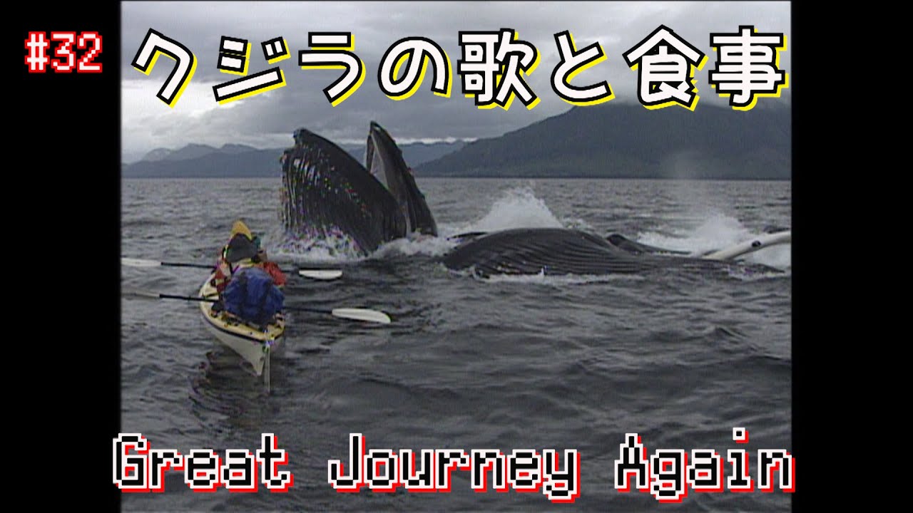 32 Encounting Whales in Alaska : The Great Journey Once Again