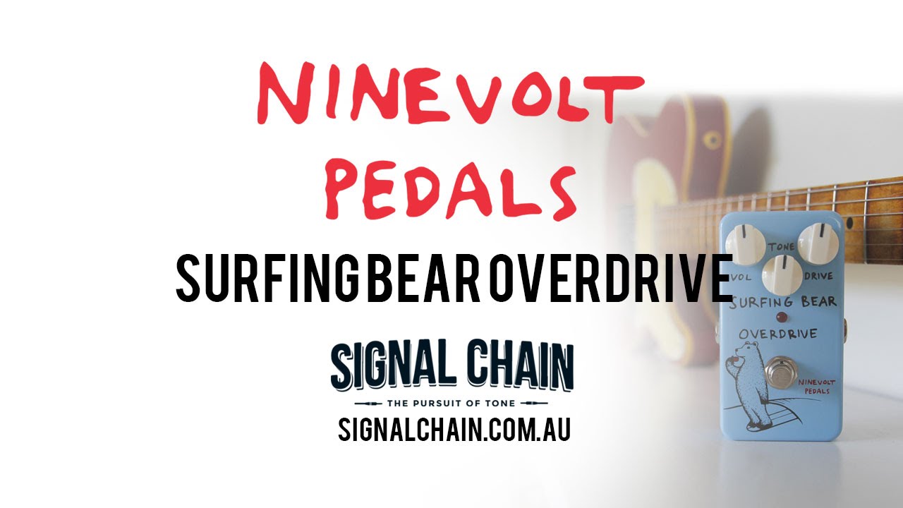 Ninevolt Pedals: SURFING BEAR OVERDRIVE - YouTube