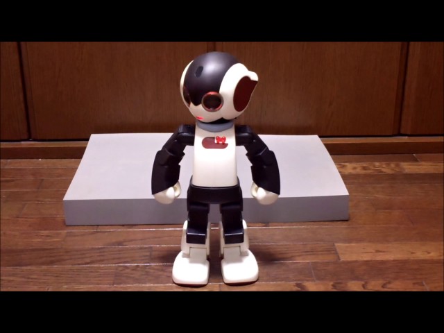 ロビ君「ロビのココロ2DX 初回起動」Robi1番機 - YouTube
