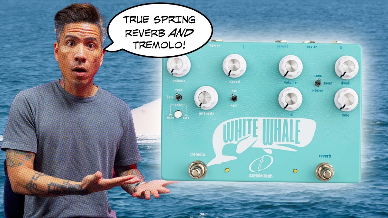 Crazy Tube Circuits White Whale Spring Reverb + Tremolo - YouTube