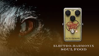 SOUL FOOD OVERDRIVE / ELECTRO-HARMONIX - YouTube