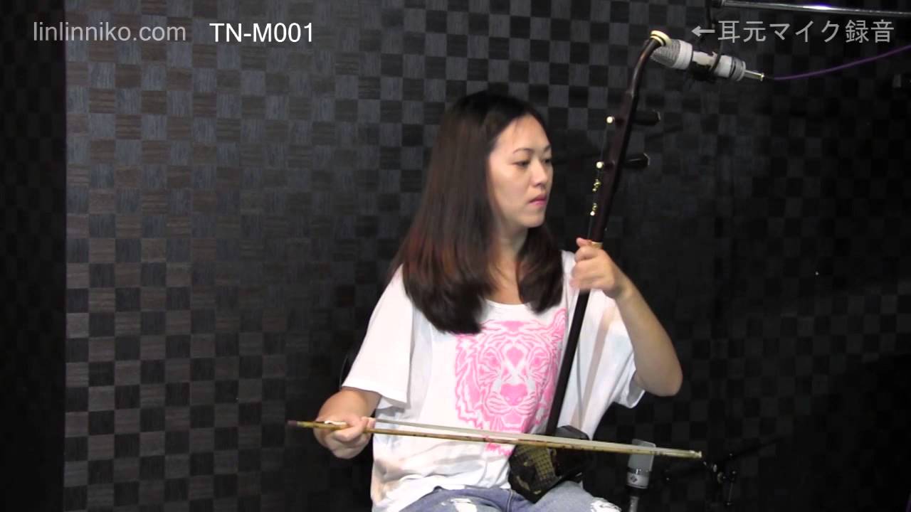 天津市乃政楽器 | 老紅木二胡 TN-M001 | リンリン二胡