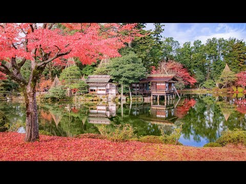 4K ] 日本三名園 金沢兼六園の紅葉 - Autumn Foliage at Kaznazawa