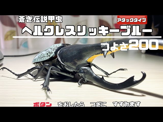 カブトムシ】ガチャでヘラクレスリッキーブルー当たらなかったから買っ