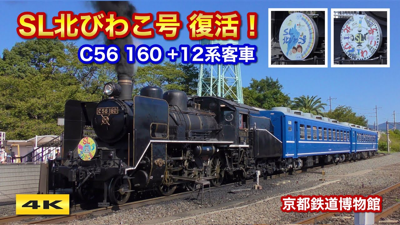 SL北びわこ号 限定復活 !!! C56 160+12系客車 京都鉄道博物館 2021.10