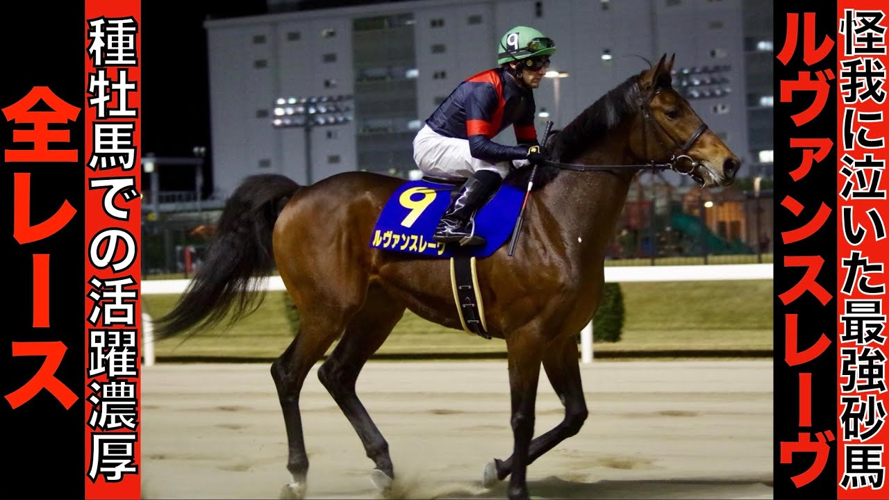 Le Vent d'Or] The offspring of the dirt champion is best aimed at