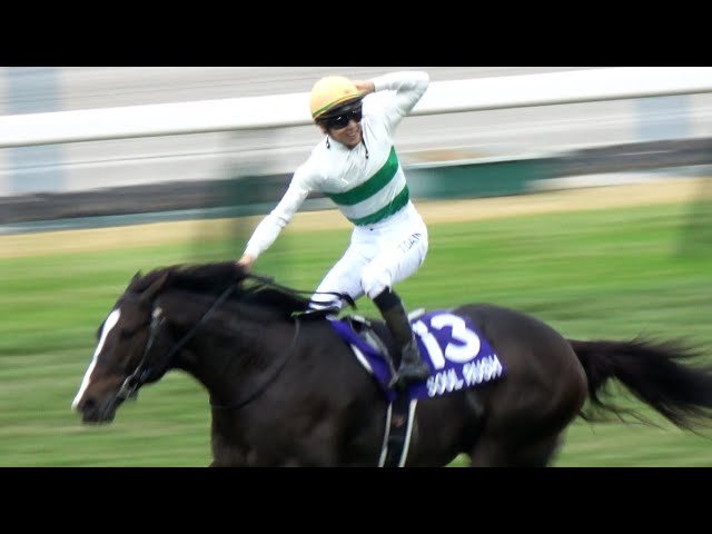 ホースレーシング トレーディングカード 2024下半期ソウルラッシュ