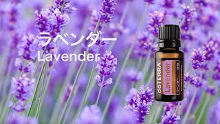 あみこ ドテラ サイプレス・フランキンセンス・マグノリアタッチ