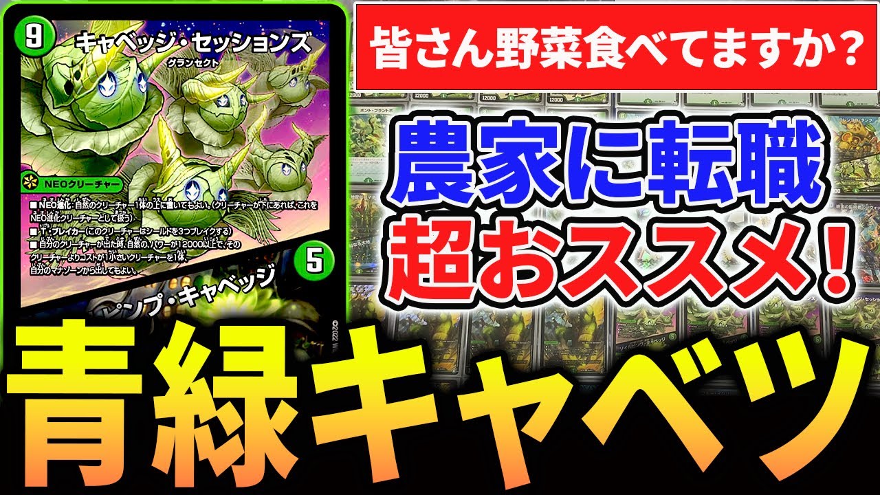 CS優勝しまくり”で話題沸騰中《青緑キャベッジ》を紹介【デュエマ/対戦