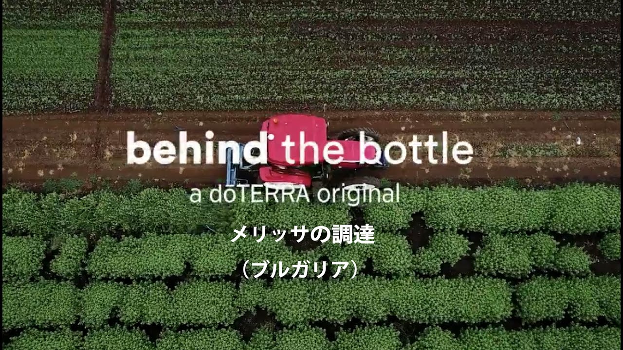 メリッサ - doTERRA TIMES
