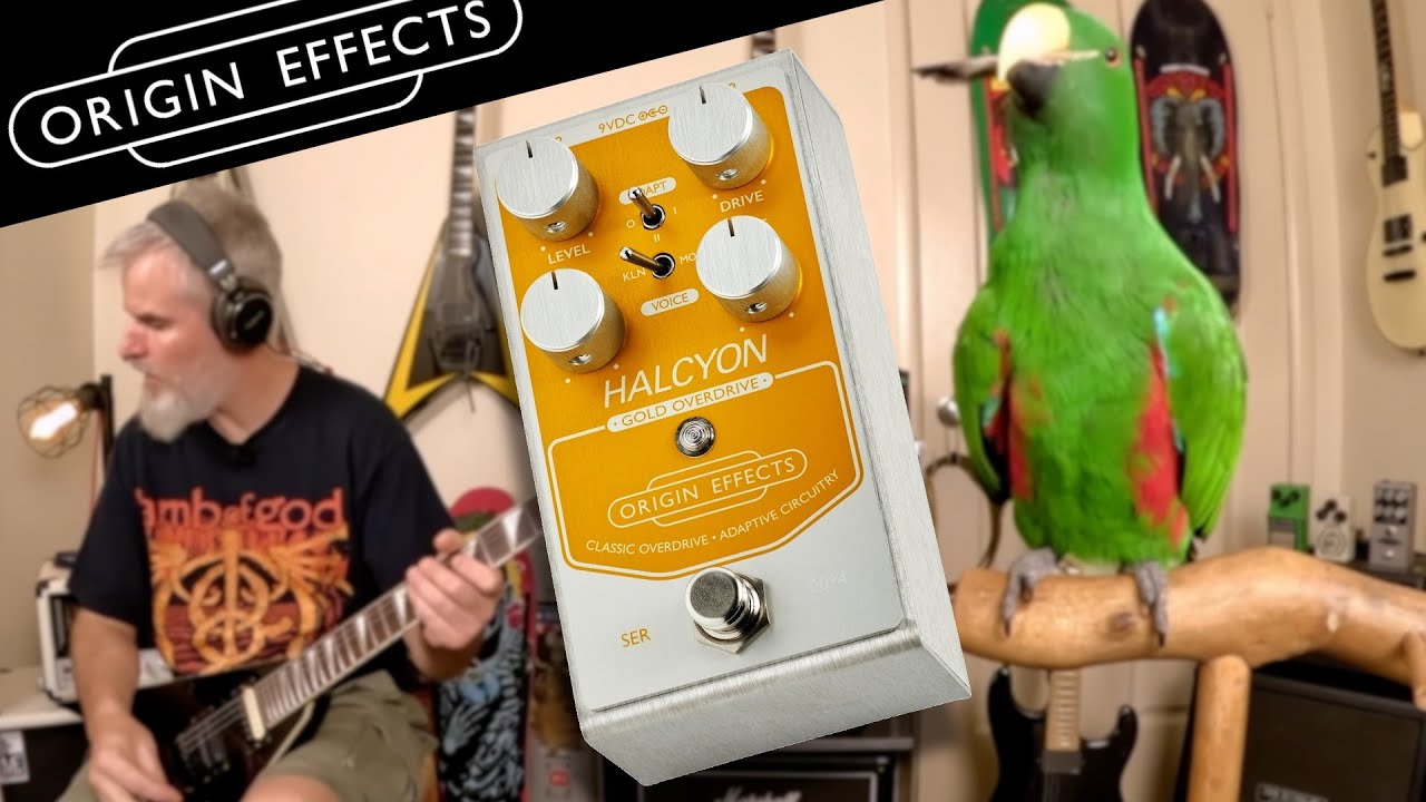 Halcyon Gold by Origin Effects - The Ultimate Klon! - YouTube