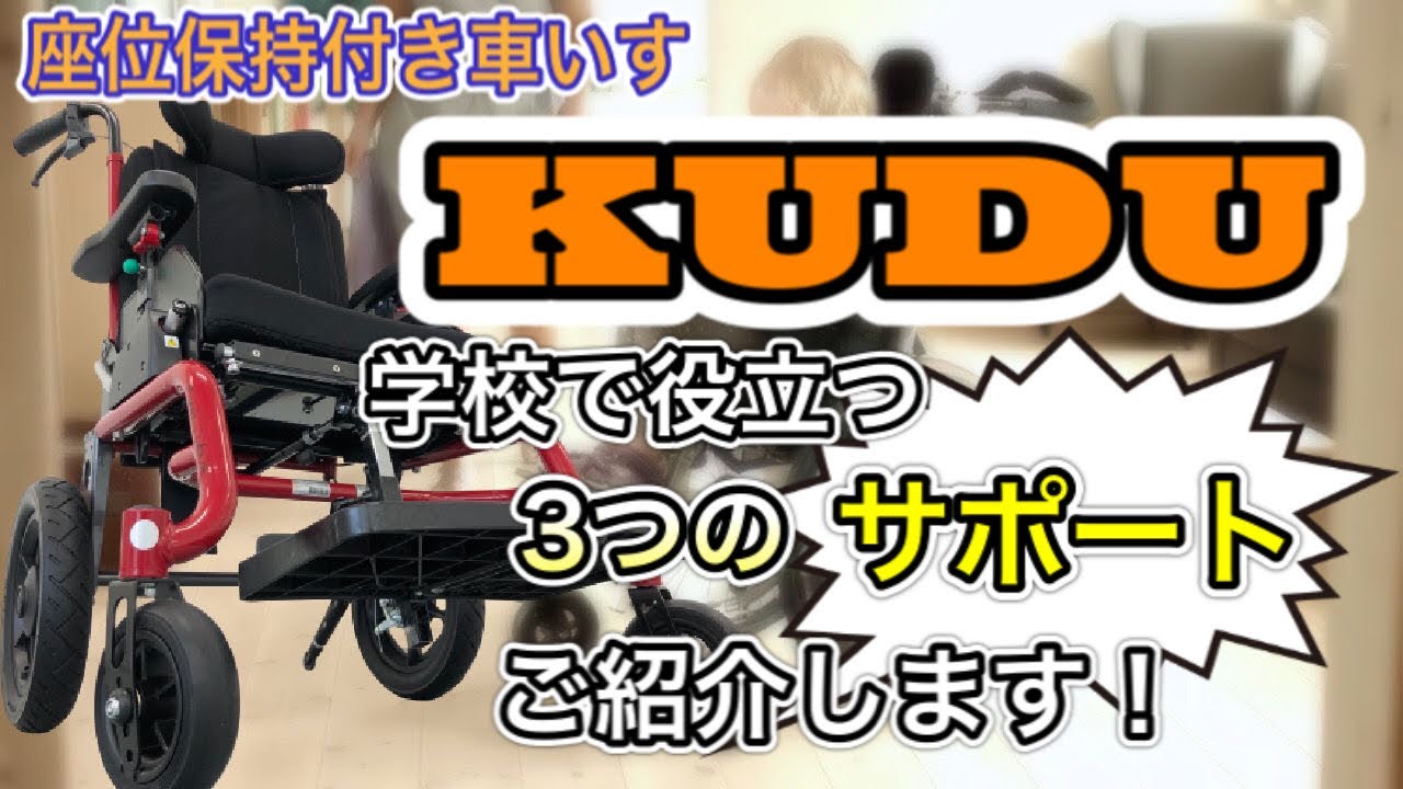 Kuduクドゥ | 小児用座位保持機能付き車椅子 | テクノグリーン販売株式会社