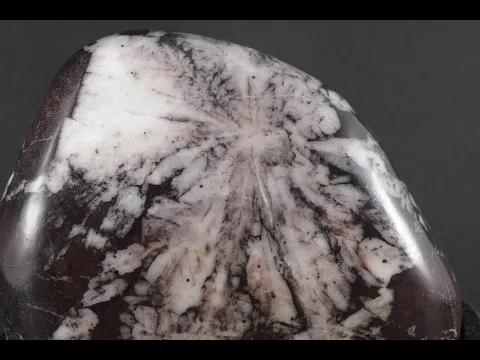 根尾谷産 菊花石 497g 国産｜天然石 通販キラリ石