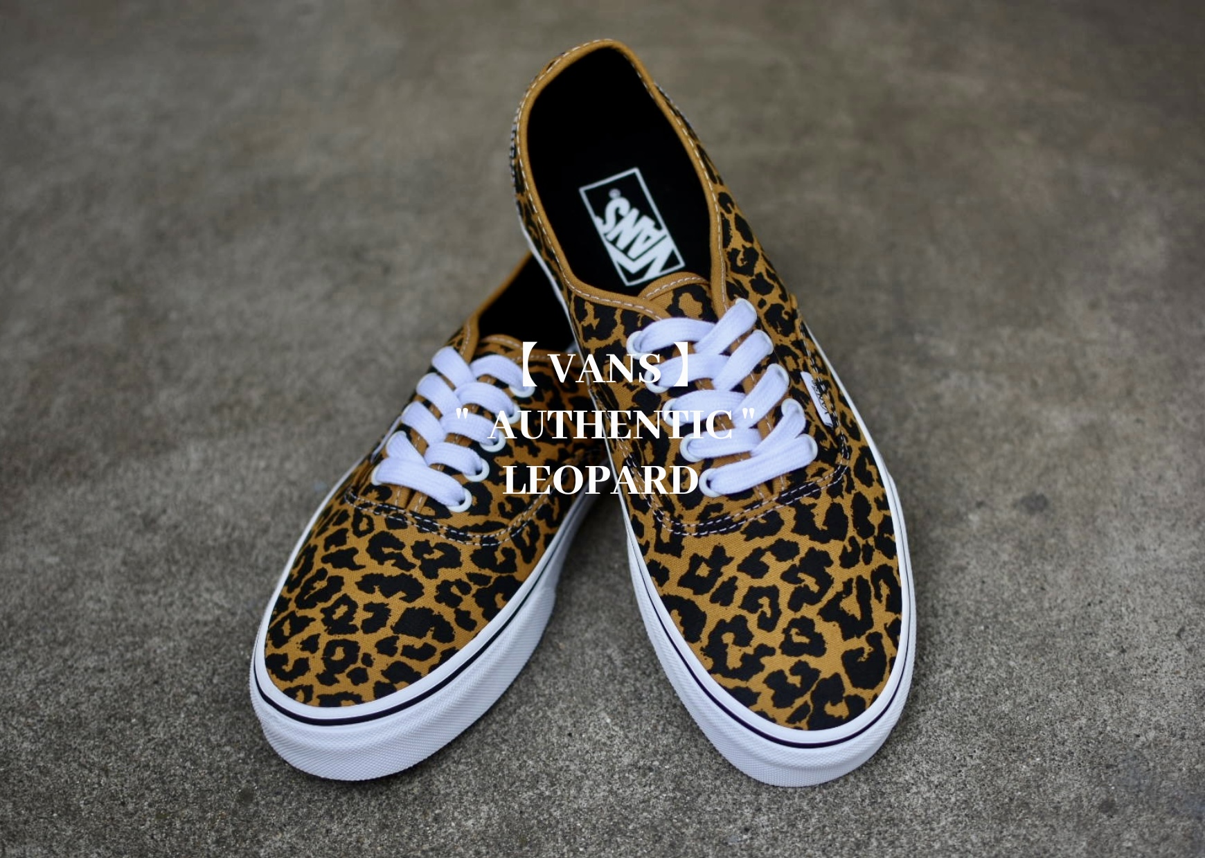 VANS / ヴァンズ 】夏のスタイルを彩る最高のスニーカー”レオパード柄