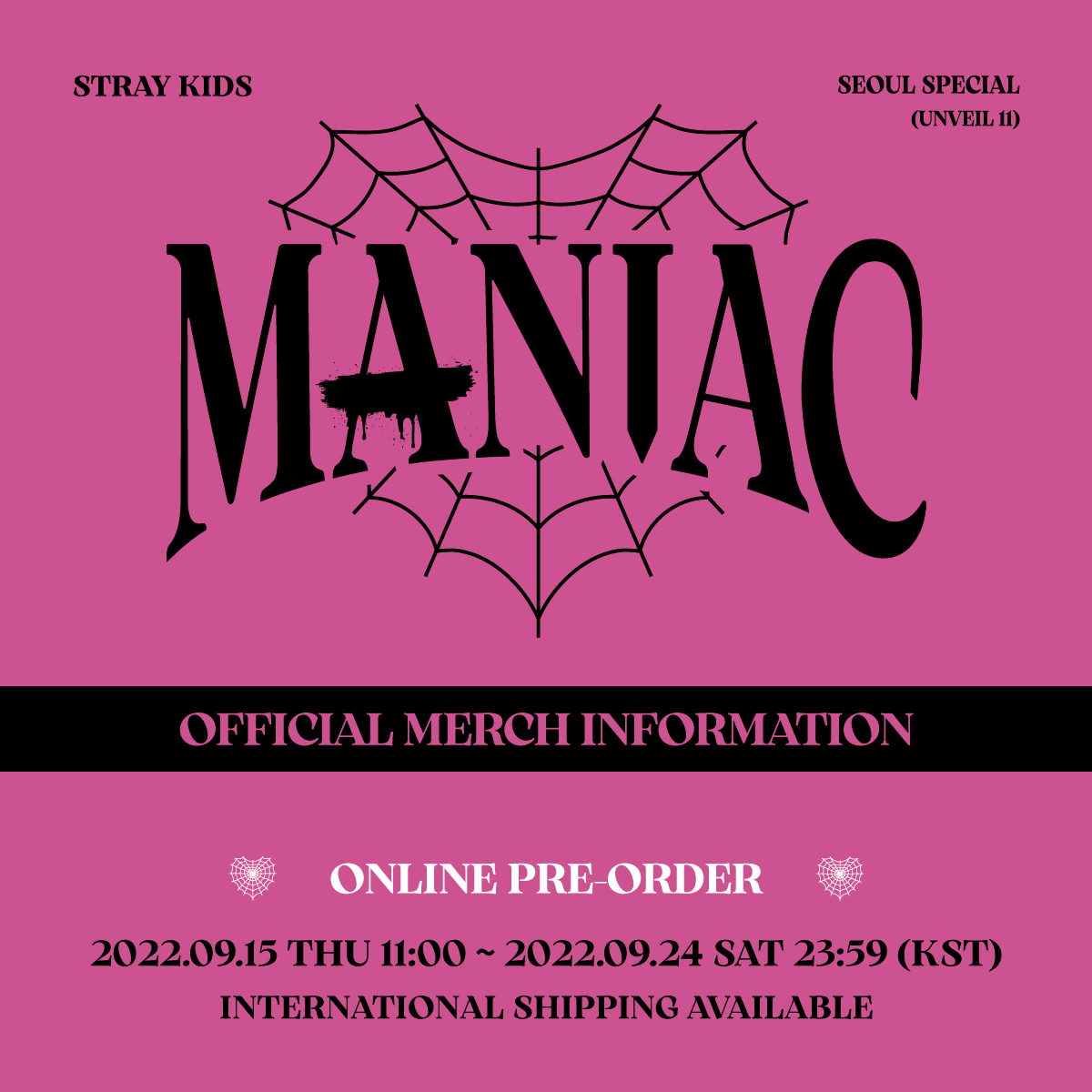 スキズ ライブ 2022 グッズ～MANIAC Unveil ソウルコン③ペンラカバー