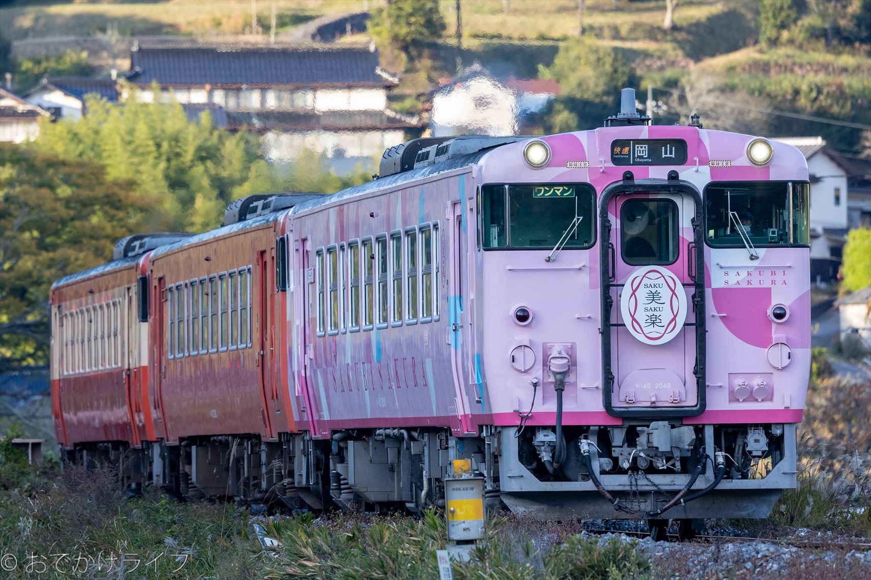 JR西日本 津山線観光列車 「SAKU美SAKU楽」 (さくびさくら)」 キハ40形