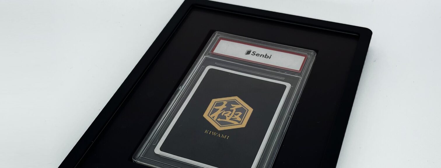 究極のPSAケース】極シリーズ PSA鑑定品カード専用アルミディスプレイ