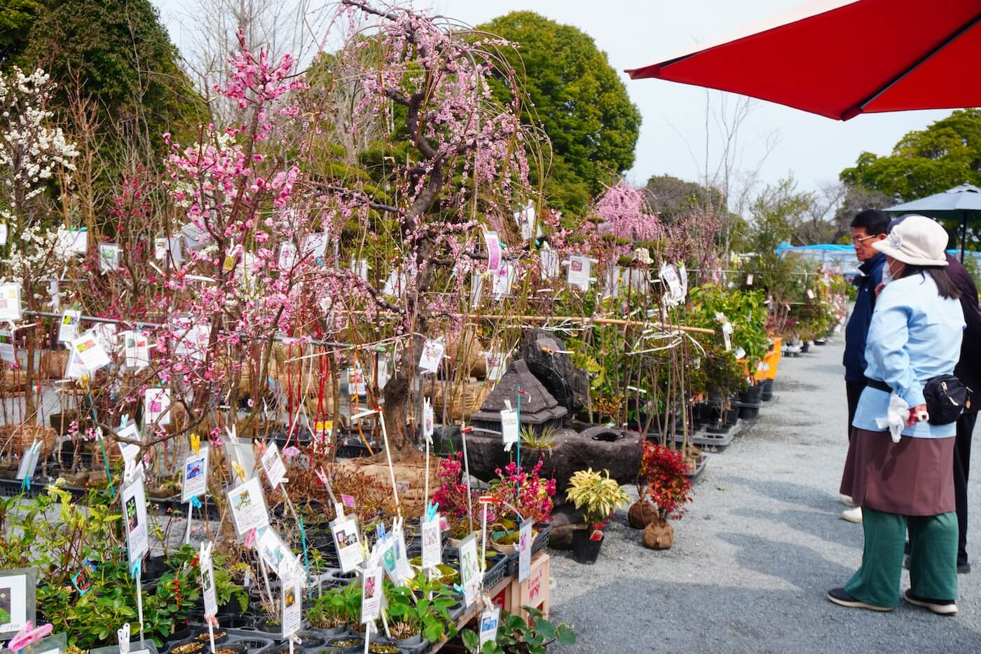 久留米植木まつり | Fukuoka Now