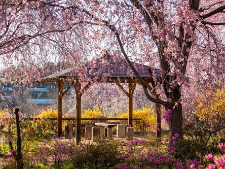 IMG_35531 | 二本松市観光連盟