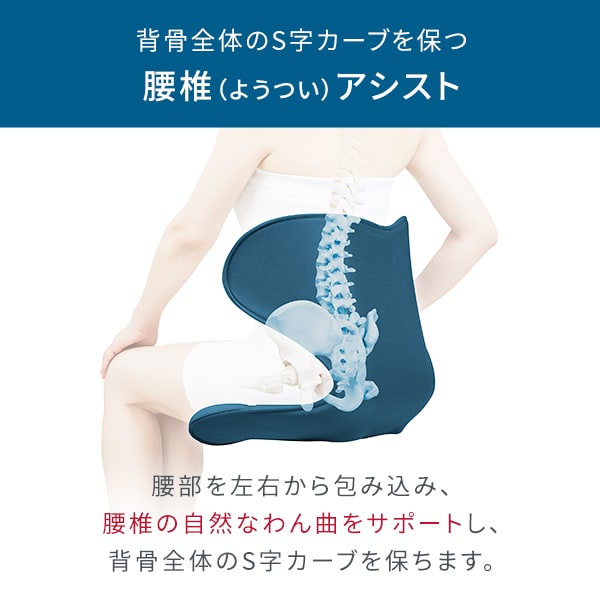 ポイント10倍／ 【座るだけで腰の負担を軽減】 スタイルスマート