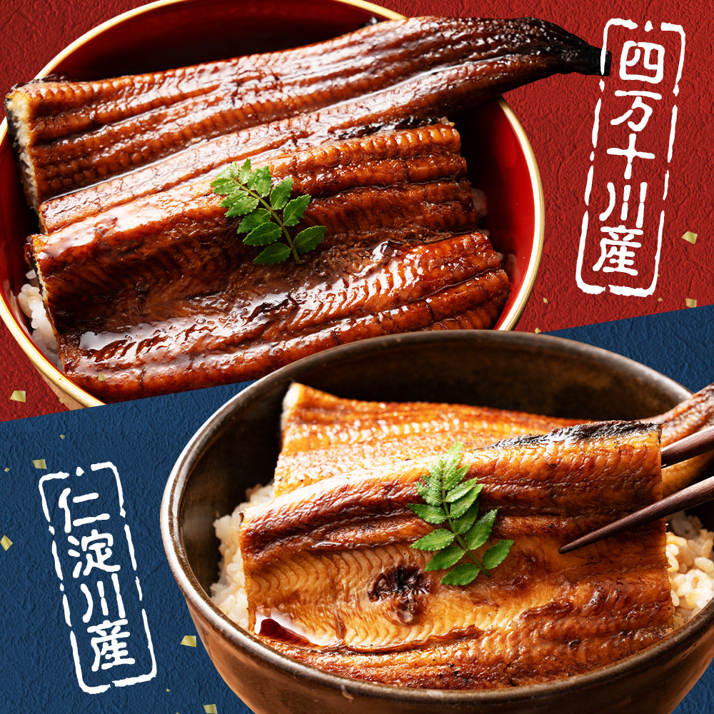 高知県産 うなぎ 四万十川×仁淀川 食べ比べセット無投薬 各1本 – 池澤