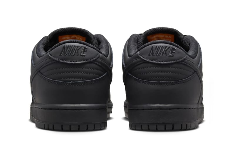 Nike SB Dunk Low Pro ISO in 