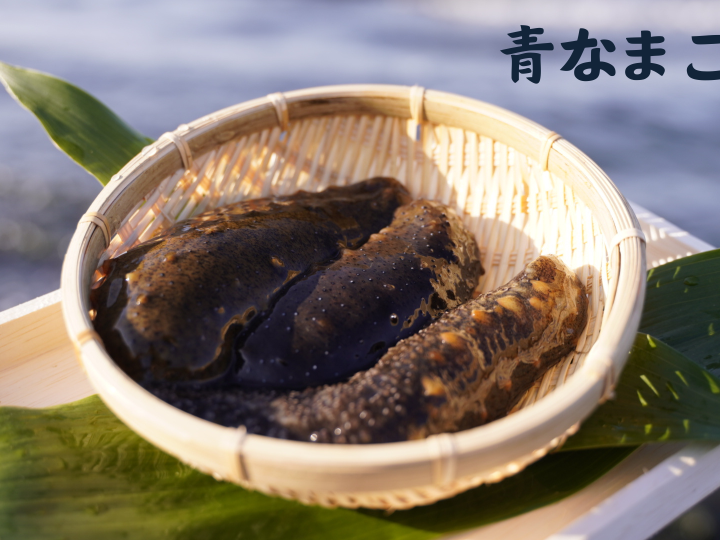 caafe0ddaff2b9f534fde01fc0f74f