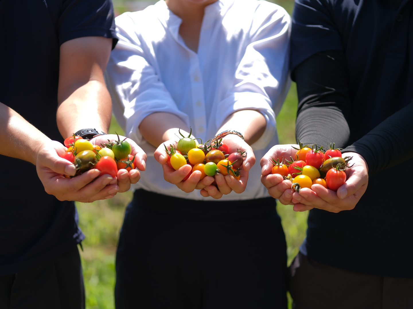 2fcd4b62c1fdf136f93c26d805964f