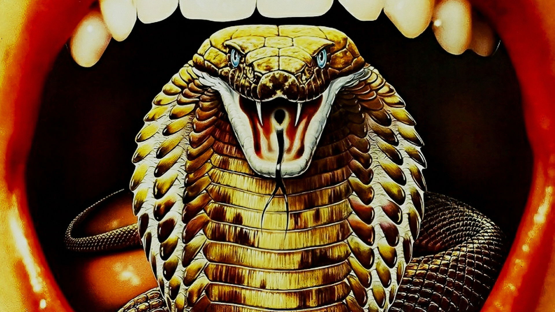 怪奇!吸血人間スネーク (1973) - 背景画像 — The Movie Database (TMDB)