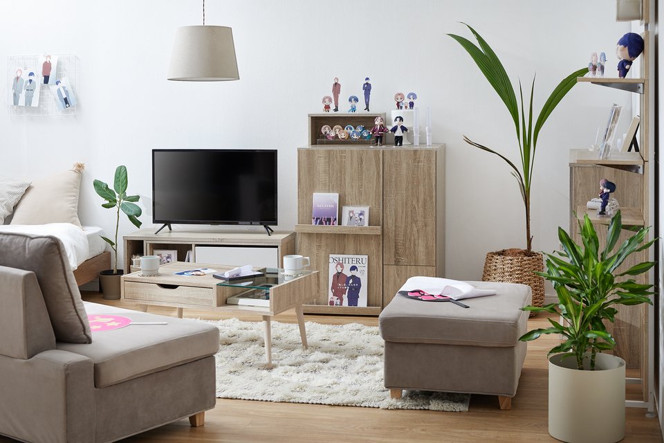 OSHITERU(オシテル) 推し活収納 グッズ収納 漫画収納 大容量 木製 [幅