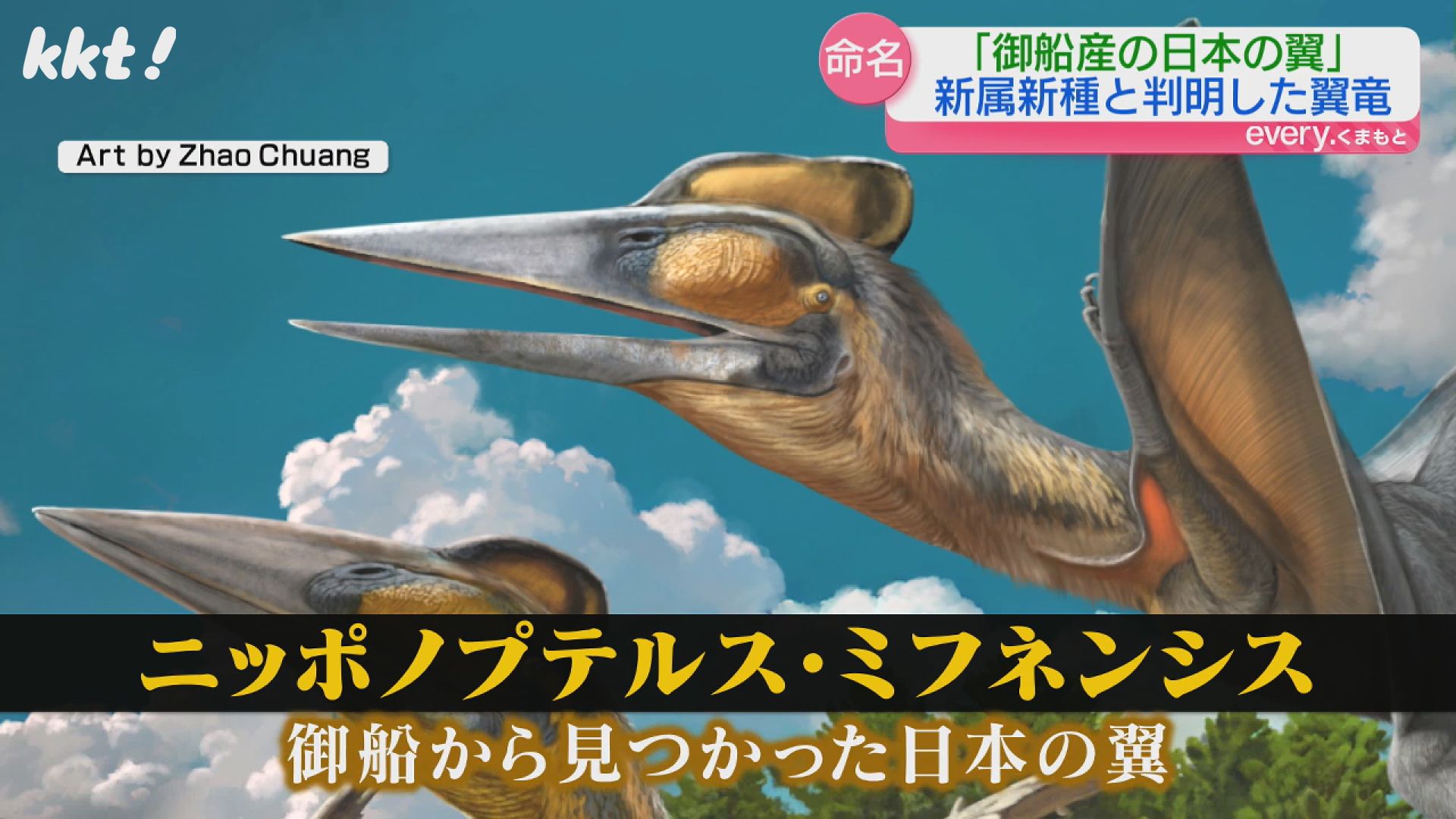 御船町で発見の化石「新種の翼竜」と判明 日本での発掘は初（2025年5月