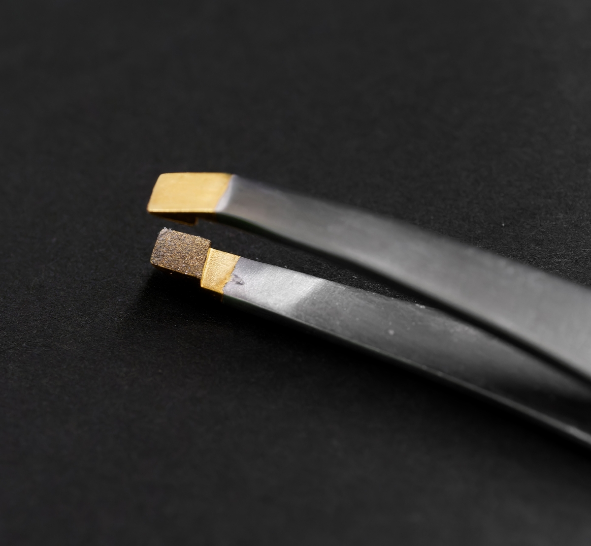 P1028168_DxO_1732089969496_120