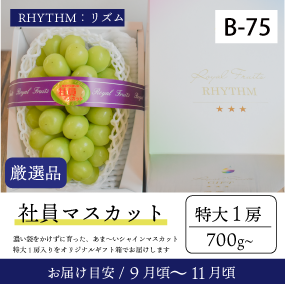 社員ﾏｽｶｯﾄ（9月-10月）