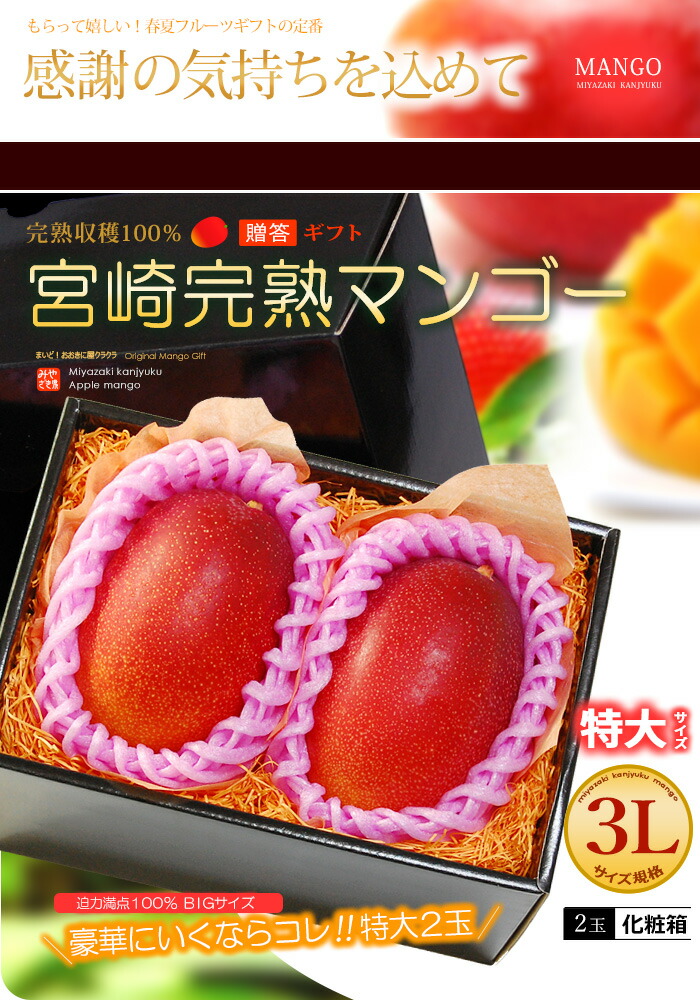 楽天市場】宮崎マンゴー (3L×2玉/約900g) 宮崎産 赤秀～青秀 宮崎完熟
