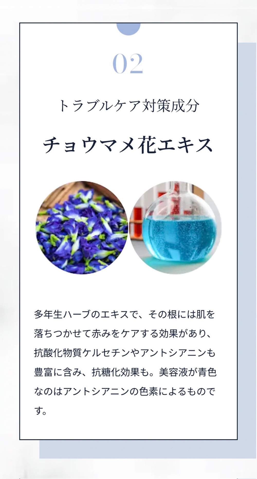 楽天市場】【P5倍】【定価¥13,200】【送料無料】【NOBIRU LASH】ノビ