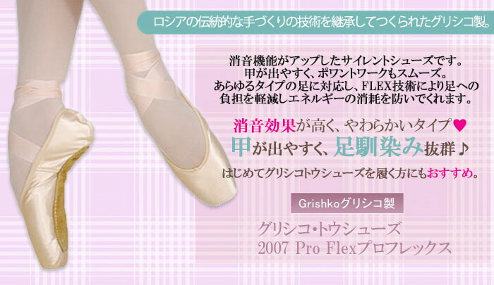 2007proflex-m.jpg