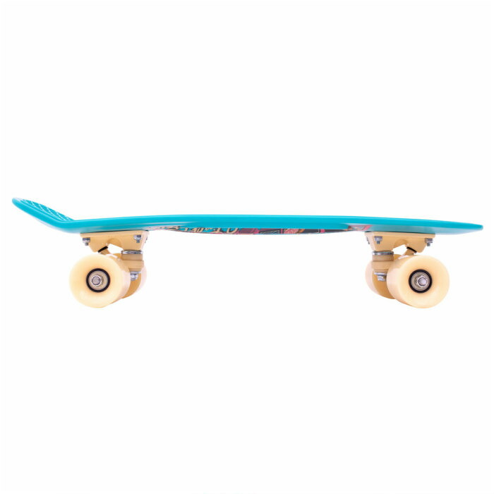 ☆即納！ペニー☆PENNY SKATEBOARD ペニースケートボード POSTCARD 22