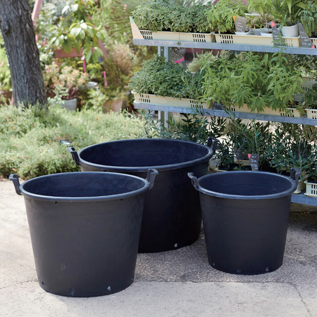 楽天市場】園芸 植木鉢 大型 育成用 ブラック ナーセリーポット